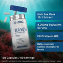 Applied Nutrition - Sea Moss & B12 Caps