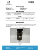 Elevate - 5-Amino-1MQ (30 Servs)