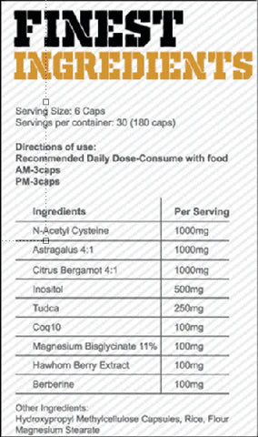 Gas Mark 10 Longevity - Body Armour