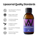Well.Actually. - Liposomal Glutathione (500mg) Liquid - Blueberry 150ml